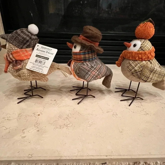 Set of 3 Walmart harvest fabric fall birds scarf glasses target inspired - Picture 3 of 7